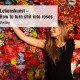 Lebenskunst – How to turn shit into roses Vortrag Anette Frankenberger